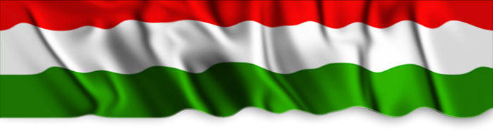 Magyarorszg honlapja!